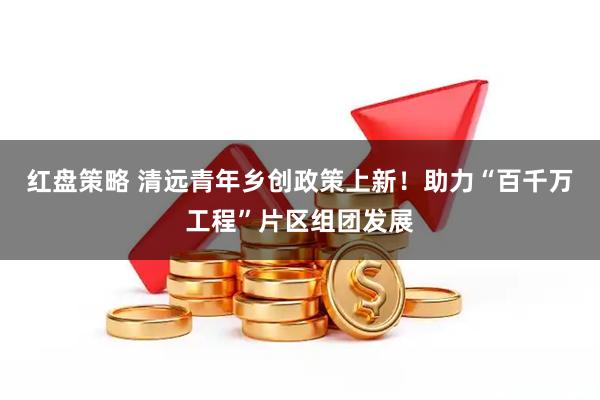 红盘策略 清远青年乡创政策上新！助力“百千万工程”片区组团发展